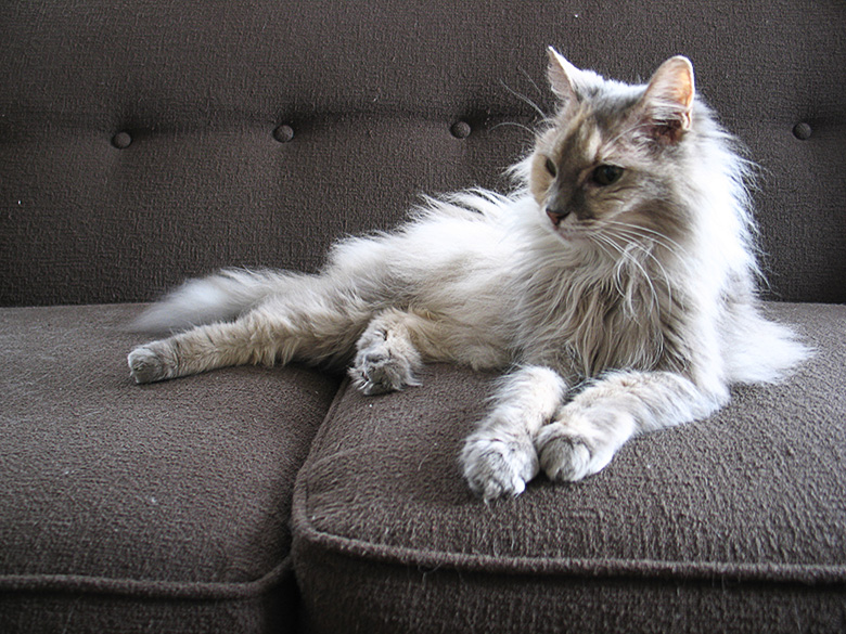 Beautiful Girl
