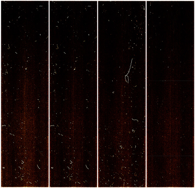 Scanner Dust